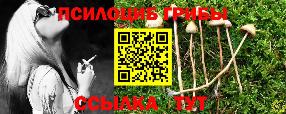 Богородск  Галлюциногенные грибы прущие грибы  Вход с VPN 