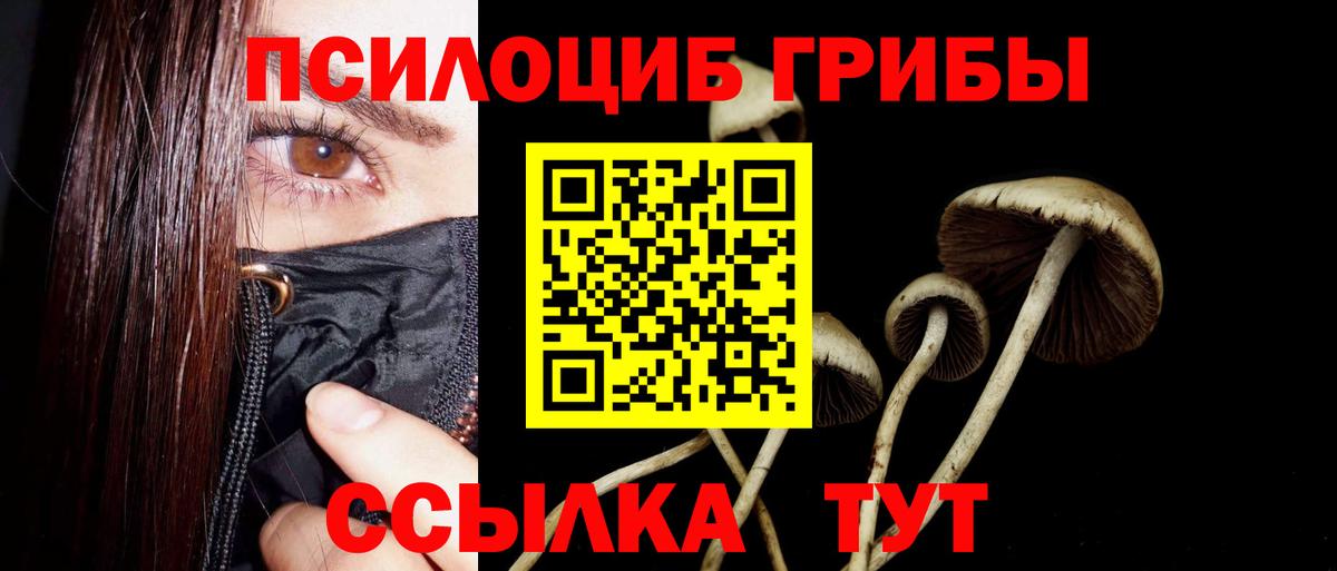 Галлюциногенные грибы GOLDEN TEACHER Богородск